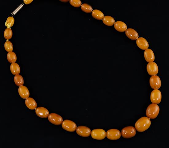 A single strand graduated oval amber bead necklace, 49cm.